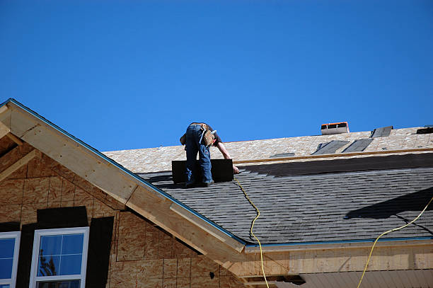 Best Metal Roofing Contractor  in Higginsville, MO