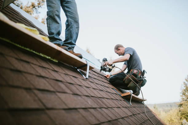 Best Residential Roofing Contractor  in Higginsville, MO